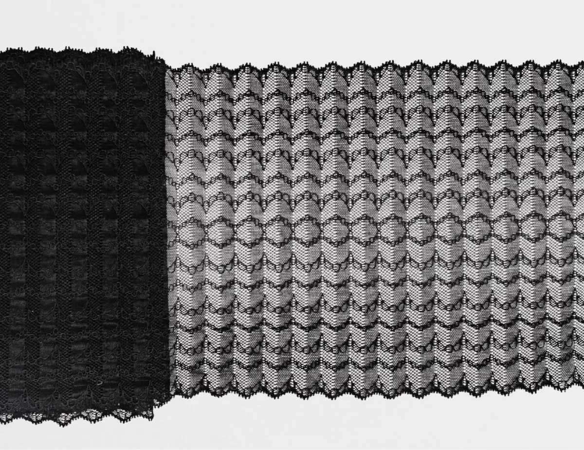 galon de dentelle brodé noir